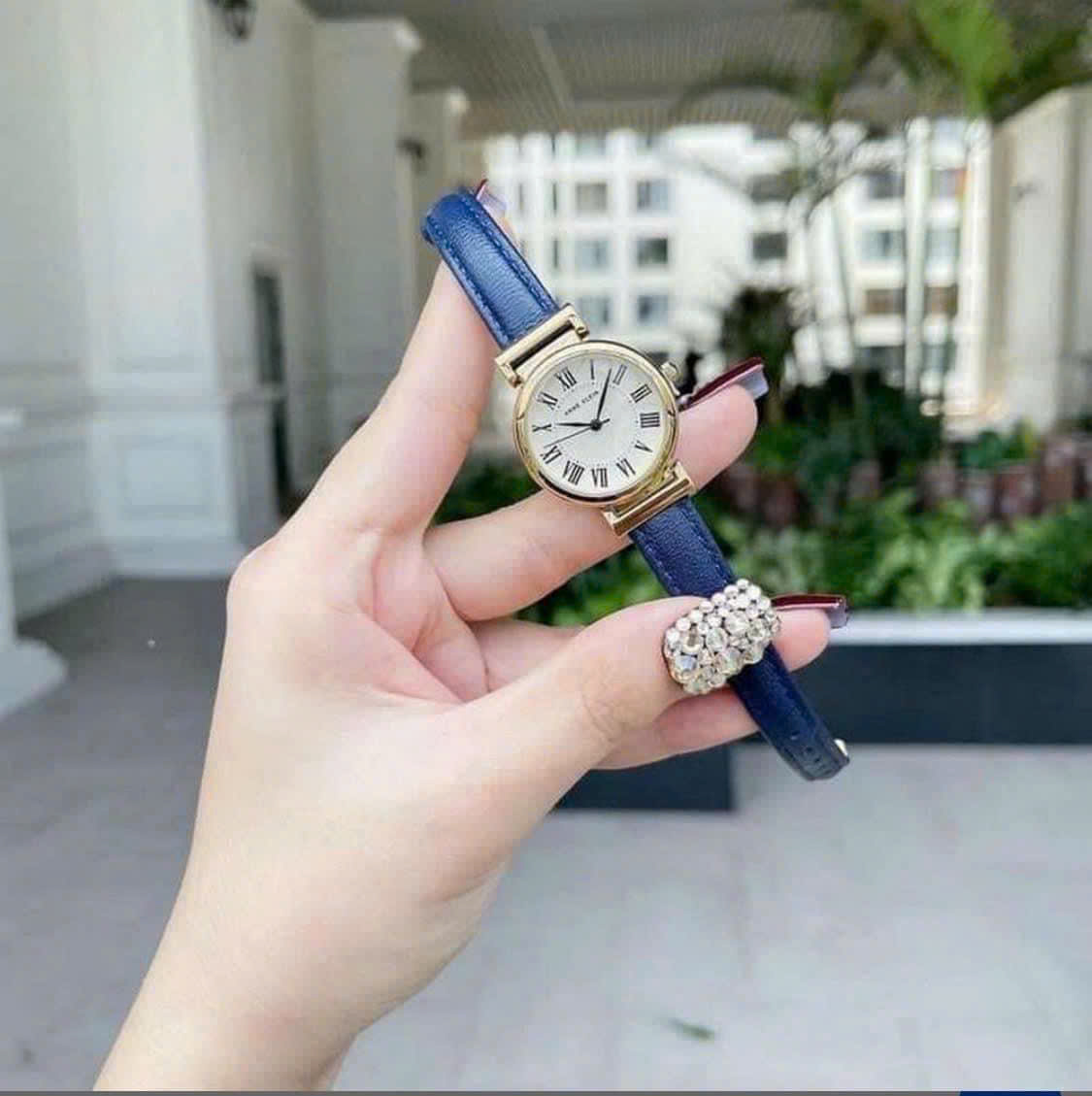 Đồng Hồ Nhà Sấu