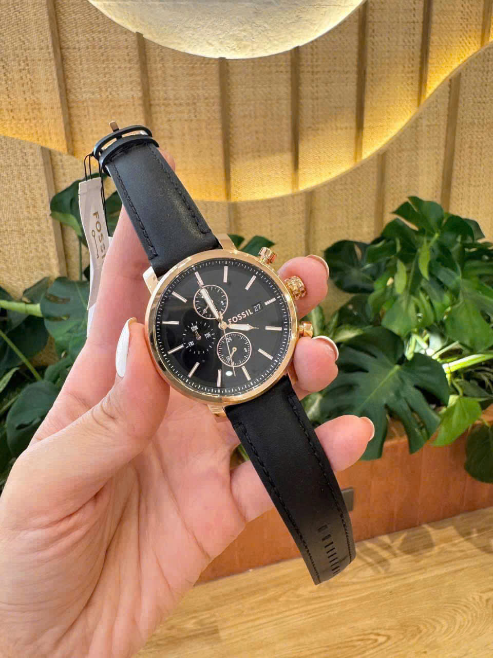Đồng Hồ Nhà Sấu