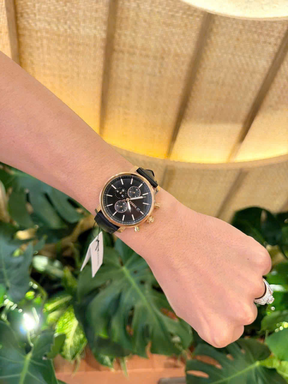 Đồng Hồ Nhà Sấu