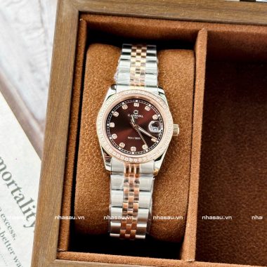 CARNIVAL Nữ 8131L2-CH-N Demi Nâu Viền Đá